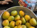 'बॉस हो तो ऐसा' मीटिंग में हुई आम की चर्चा, लंदन वाले डायरेक्टर ने 2 दिन में भिजवा दी पूरी पेटी