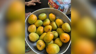 'बॉस हो तो ऐसा' मीटिंग में हुई आम की चर्चा, लंदन वाले डायरेक्टर ने 2 दिन में भिजवा दी पूरी पेटी