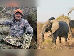 US Millionaire Killed By Elephant Herd While Hunting Antelope In African Jungle
