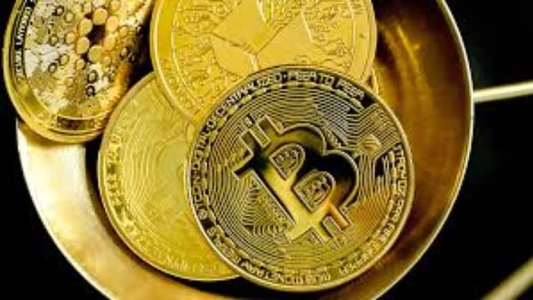 Crypto Wallet का इस्तेमाल करते हैं तो हो जाएं सावधान! एक गलत क्लिक से हो सकता है पूरा बैलेंस खाली, सेफ रहने के लिए इन बातों का रखें ध्यान