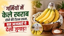 केले खरीदने के बाद दूसरे दिन ही हो जाते हैं खराब? अपनाएं ये 4 ट्रिक्स, हफ्तों तक रहेंगे एकदम फ्रेश