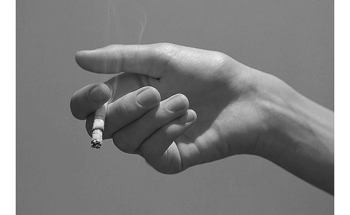 Image: Insta@happyp1ant