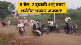 VIDEO: बैलगाडा शर्यतीचा जीवघेणा थरार! 4 बाईक चिरडल्या, तरुणांना तुडवलं; कोल्हापुरातील भयंकर व्हिडिओ