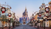 Disney World Raises Peak Season Ticket Prices To Rs 18,500 For 2027