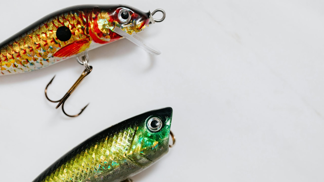 Adhesive Hooks vs Drilling: Which One Actually Holds Weight Safely? Adhesive Hooks vs Drilling: Which One Actually Holds Weight Safely?