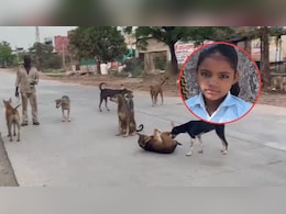राजस्थान: बच्ची की चीख पुकार, शरीर पर गहरे घाव... आवारा कुत्तों के हमले में बच्ची की दर्दनाक मौत