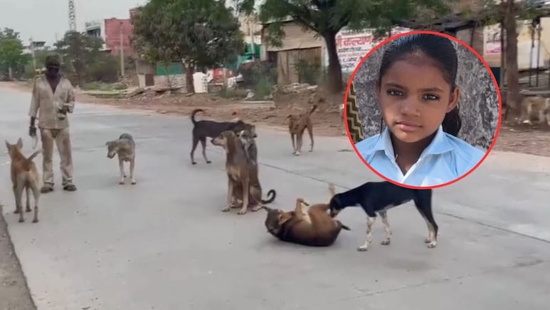 राजस्थान: बच्ची की चीख पुकार, शरीर पर गहरे घाव... आवारा कुत्तों के हमले में बच्ची की दर्दनाक मौत