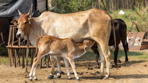Story image