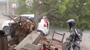 Uttar Pradesh: 33 Killed In Heavy Rains, Thunderstorm In Various Districts; Compensation Announced