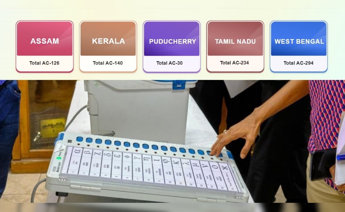 Election Results 2026: चुनाव परिणाम 2026 सभी सीटों की PDF लिस्ट कैसे डाउनलोड करें? ये है आसान तरीका