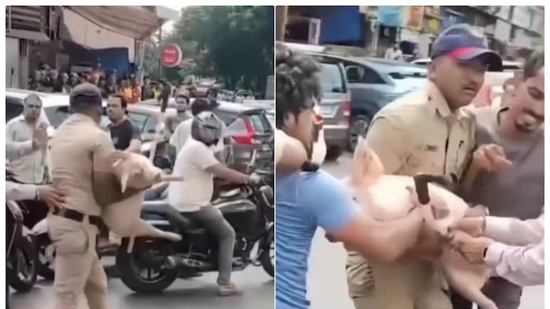 VIDEO: ठाणे की सोसायटी में बकरे के विरोध में सुअर लेकर घुसने की कोशिश, पुलिसकर्मी ने प्रदर्शनकारी से छीना