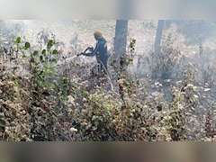उत्तराखंड में 'फॉरेस्ट फायर' का तांडव... 93 दिनों में 295 जगह धधके जंगल, 239 हेक्टेयर इलाका खाक