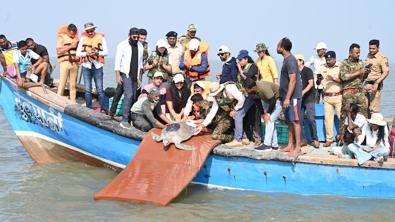 भारत के डहाणू से ओमान तक 4000 किमी का सफर, सैटेलाइट टैगिंग वाली देश की पहली मादा कछुए ने रचा इतिहास