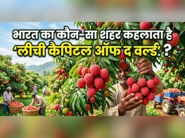 लीची सीजन में जान लें ये खास बात, भारत का कौन सा शहर कहलाता है 'लीची कैपिटल'