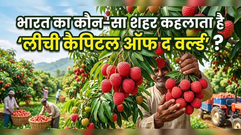लीची सीजन में जान लें ये खास बात, भारत का कौन सा शहर कहलाता है 'लीची कैपिटल'