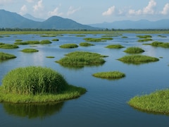 Which Is India's Only Floating National Park?
