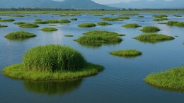 Which Is India's Only Floating National Park?