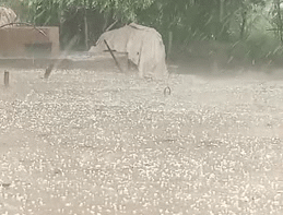राजस्थान के मौसम ने ली करवट, टोंक में बारिश के साथ गिरे ओले; IMD ने बताया अगले 4 दिन कैसा रहेगा मौसम