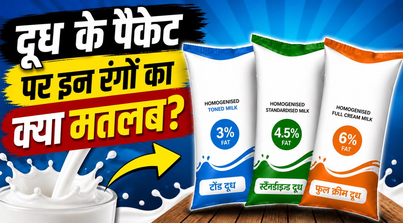भारत में दूध के पैकेटों पर नीले, हरे और नारंगी रंग क्यों होते हैं? कौन सा दूध आपके लिए परफेक्ट?
