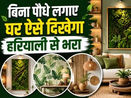 घर में पौधे नहीं फिर भी चाहिए नेचर वाली फील? ये 3 स्मार्ट ट्रिक्स बदल देंगी पूरा घर, हर कोना लगेगा ग्रीन-ग्रीन!