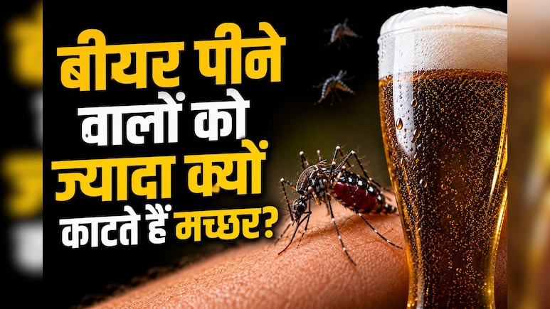 बीयर पीते ही बन जाते हैं मच्छरों के फेवरेट! रिसर्च में हुआ बड़ा खुलासा, पार्टी के बाद क्यों ज्यादा काटते हैं Mosquitoes?