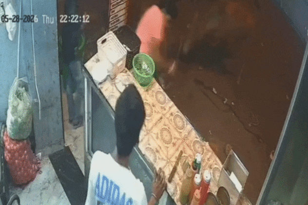 VIDEO: आवारा सांड का आतंक, लड़ाई करते हुए दुकान में घुसे, काउंटर को कर दिया तबाह