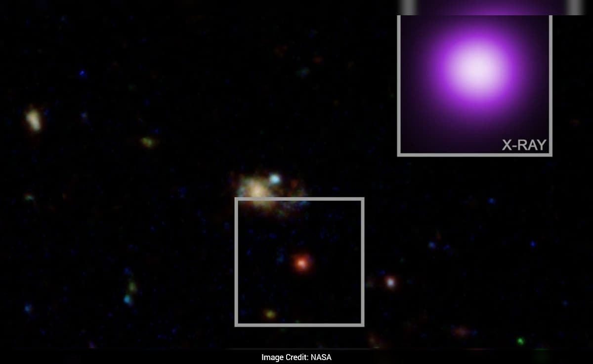 Scientists Find Rare X-Ray Source That Could Reveal Truth Behind "Little Red Dots"