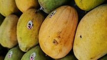 How To Spot Fake vs Real Mangoes: What Experts Want You To Know
