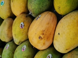 How To Spot Fake vs Real Mangoes: What Experts Want You To Know
