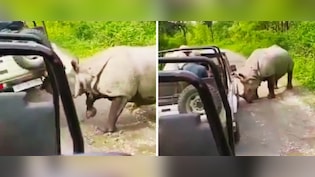 जब भड़के गैंडे ने सींग से उठा दी पर्यटकों की भरी जीप, देखें रोंगटे खड़े करने वाला VIDEO