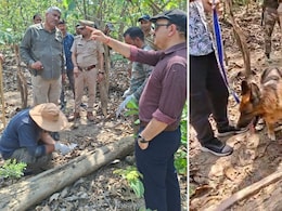उत्तराखंड में एक नहीं, दो बाघों को जहर देकर मारा, चारों पैर भी काटे; पूरे राज्य में हाई अलर्ट जारी