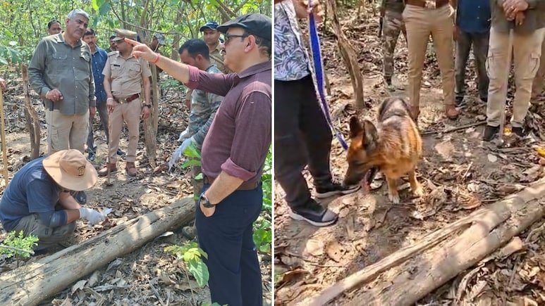 उत्तराखंड में एक नहीं, दो बाघों को जहर देकर मारा, चारों पैर भी काटे; पूरे राज्य में हाई अलर्ट जारी