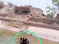 बीकानेर: पुलिस को देखते ही नहर में कूदा शातिर चोर, कांस्टेबल ने छलांग लगाकर दबोचा; Video