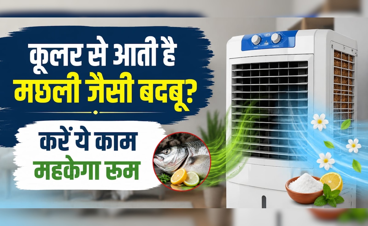 कूलर से आ रही है सड़ी मछली जैसी बदबू? बस ये 1 चीज डालें, मिनटों में महकेगा पूरा कमरा!