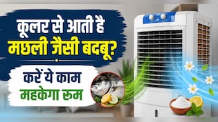 कूलर से आ रही है सड़ी मछली जैसी बदबू? बस ये 1 चीज डालें, मिनटों में महकेगा पूरा कमरा!