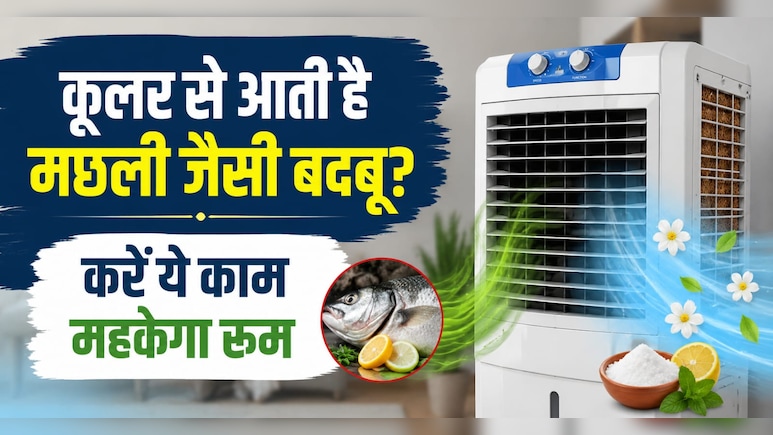 कूलर से आ रही है सड़ी मछली जैसी बदबू? बस ये 1 चीज डालें, मिनटों में महकेगा पूरा कमरा!