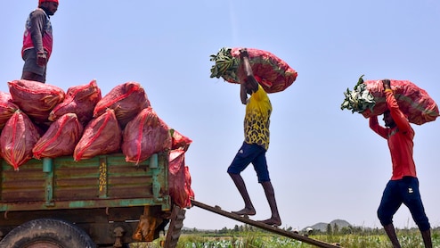 Wage Criteria Dropped, Weekly Hours Capped: Here's How Labour Codes Will Change Your Work And Salary