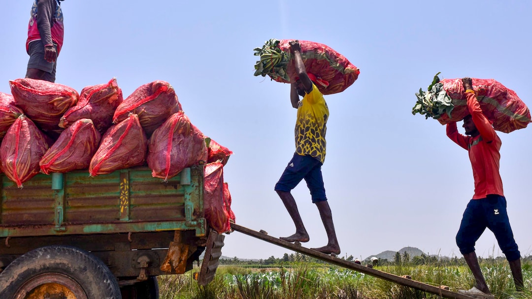 Labour Reforms: Government Fully Operationalises Four New Codes By Publishing Rules