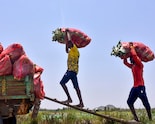 Labour Reforms: Government Fully Operationalises Four New Codes By Publishing Rules