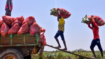 Labour Reforms: Government Fully Operationalises Four New Codes By Publishing Rules
