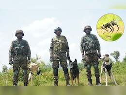 सैन्य अभ्यास प्रगति 2026 में देसी नस्ल के साथ-साथ रोबोटिक डॉग्स ने कुछ यूं दिखाया दम, VIDEO