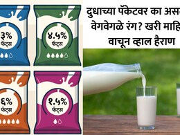 Milk Packet Color Code: दुधाच्या पिशवीवर निळा, हिरवा आणि नारिंगी रंग का असतो? 99% लोकांना माहिती नसणार कलर कोडचं गुपित