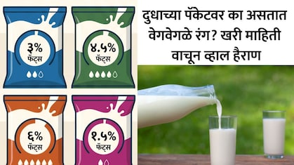 Milk Packet Color Code: दुधाच्या पिशवीवर निळा, हिरवा आणि नारिंगी रंग का असतो? 99% लोकांना माहिती नसणार कलर कोड