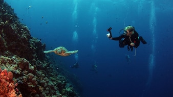 Andaman Boosts Marine Tourism, Launches 4 New Dive Sites In Diglipur