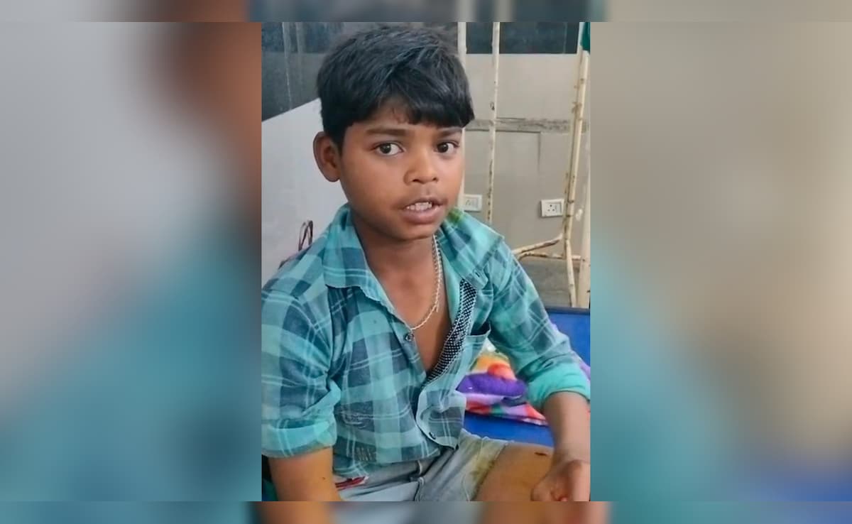 'Grabbed Its Neck': 13-Year-Old Boy's Daring Face-Off With Leopard