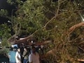 Rajasthan Weather: कोटा में चलते ऑटो पर गिरा पेड़, राजसमंद में गुल रही बिजली, राजस्थान में रेतीले तूफान और बारिश का अलर्ट
