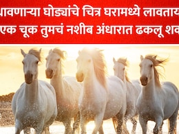 7 Horses Painting Direction: घराच्या या भिंतीवर 7 पांढऱ्या घोड्यांचा फोटो लावणं ठरेल विनाशाला निमंत्रण; वास्तूशास्त्राचा नियम पाळा अन्यथा..