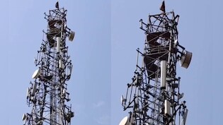 ग्रेटर नोएडा में हाई-वोल्टेज ड्रामा: मोबाइल टावर पर चढ़ा युवक, विधायक और पुलिस पर लगाए गंभीर आरोप