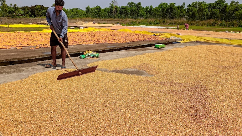 States Must Remain Prepared To Deal With Possibility Of Low Rainfall: Agri Minister Chouhan