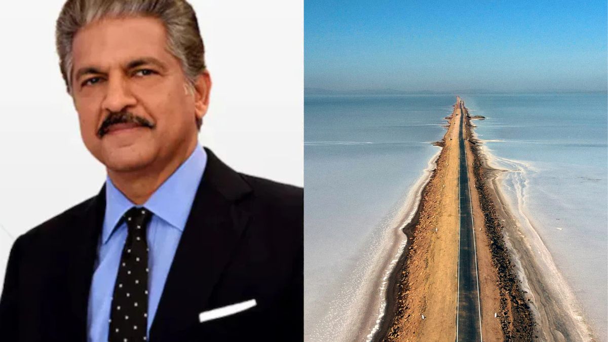 Anand Mahindra Is Captivated By Gujarat's 'Road To Heaven' Scenic Drive